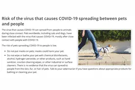 新冠会传染给狗猫吗？如果不小心阳了宠物怎么办？图片