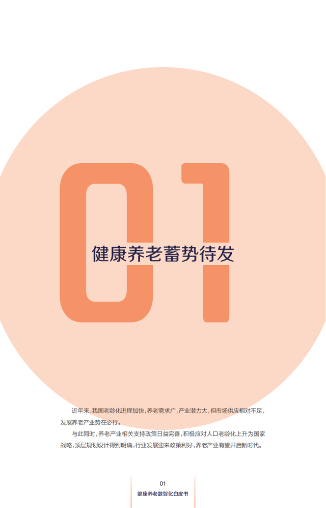 йϡǻƤ飨2022гģ޴󣬴
