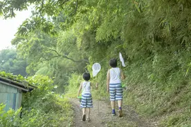 全市中小学幼儿园暑假工作通知来了，涉及时间安排、出行提醒图片