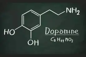 穷人沉迷多巴胺，富人追求内啡肽，是真的吗？图片