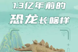 1.3亿年前的恐龙，长啥样？图片