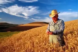 美国的粮食武器威力强大，中国都曾吃过大亏，但后面却反败为胜图片