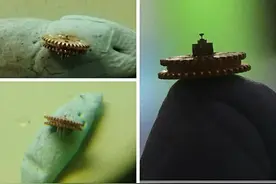 修表十年，机械表常见故障分析和使用建议（干货科普&交流）图片