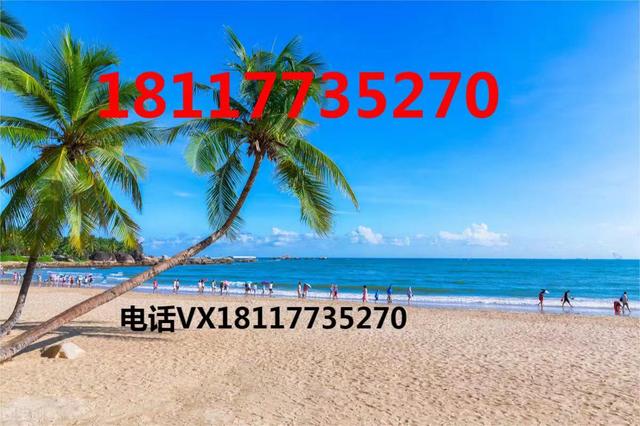 海南人才引进落户现场怎么办理？