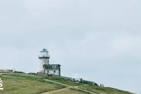 《树上的男爵》：人这一生，最难的不是成为别人，而是成为自己图片