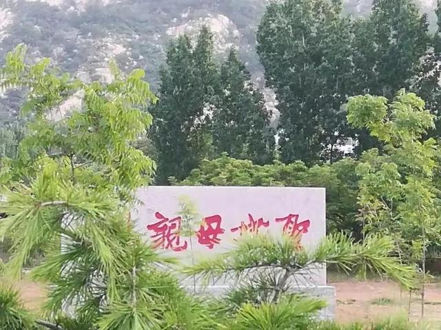 聆听舒平的故事