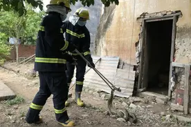 “蛇进家”发生数百起，溜进民房成安全隐患，蛇真的会报复人类？图片