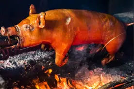 西方媒体：中国人吃肉破坏环境，吃人造肉影响别国GDP，都不行图片