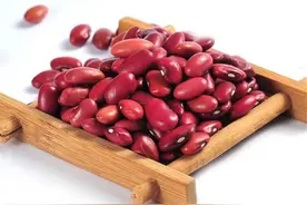 豆家高贵的长公主——红芸豆图片