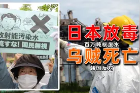 日本排放核废水的报应来了？乌贼大量死亡，当地渔民都不敢吃！图片