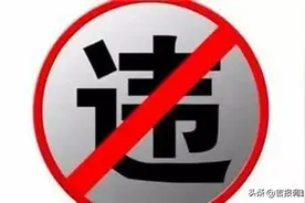 长春净月高新区法院拍案说法： 提供劳务者因劳务受伤，由谁承担赔偿责任？图片