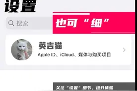 关注iPhone的“设置”细节，提升用机体验（第一期）图片