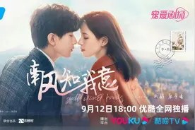 读《南风知我意》原著，带您了解爱恨纠缠的人物关系图片