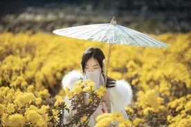「禅宗智慧」倾听是涵养，慎言是教养，沉默是修养图片