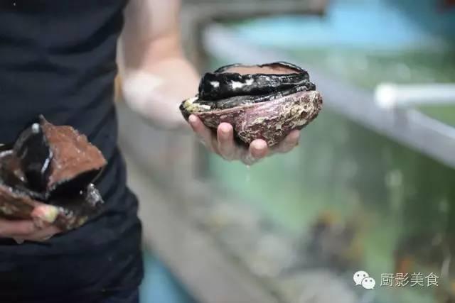 40头的花胶是几级 2025年花胶40头是什么意思?