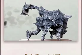 贵州深山挖出来的石头，取名“神龙”，36万成交！图片