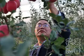 果树新品种的核心价值：让农民先挣到钱图片