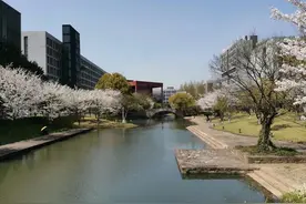 入定的感觉真的奇妙无比：时空消失、意识停止、喜悦盈满图片