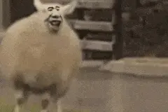 原来微信“对方正在输入……”是这种情况下才出现的图片