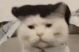 表情包|上班人打工工作中必备表情包～图片