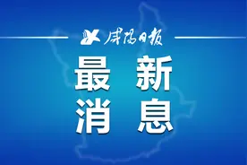 新增列车14对！1月10日起启用→图片
