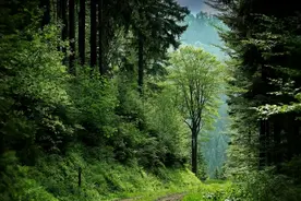 分手后，女人还主动联系你，多半是这3种心理图片