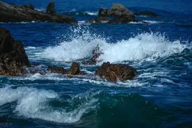 敢于离开的女人，底气来源于这四个字图片