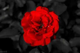 捷克国家游，科普文化知识图片