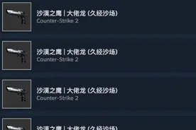 CS全面升级：真的是狗屎游戏吗？图片