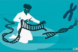 上帝遗落人间的剪刀——CRISPR「基因魔剪」斩断癌症进展之路图片