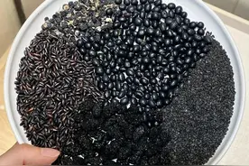 五黑饮（补肾抗衰，预防脱发）图片