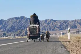 男子和狗流浪四年成网红：曾被欺凌有社交障碍 治愈全职太太图片