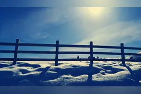 游记｜冬天到菊花台景区来看雪图片