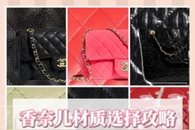 「大牌科普」Chanel香奈儿大皮质解析图片