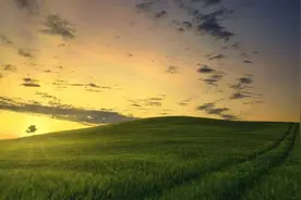 疗愈自己的6种方式，迷茫时大有裨益图片