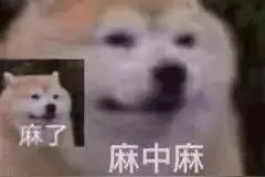 表情包：哈哈哈，想不到吧，我还没睡图片