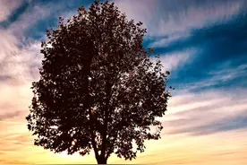 肾精用光了，一泻千里，中医补足肾精，生活质量有提升图片