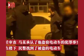 姐姐想买电动车弟弟偷一辆送她，警方：刑事拘留，追回电动车图片