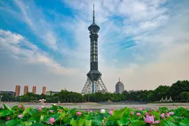 杀不死的石家庄图片