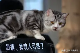 约女生出来玩，发表情包搞定她，女人不会拒绝的图片