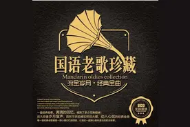 毛阿敏进不了前五，梅艳芳排第四，十大殿堂级女歌手究竟谁是第一图片