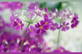 经常反省自己图片