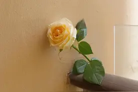 心机很深的女人，往往会如此和你“聊天”，别大意图片