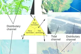 经典三角洲解释图鉴图片