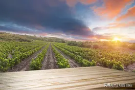 可以说出来让很多人知道的都是故事，不可说的才是心事图片