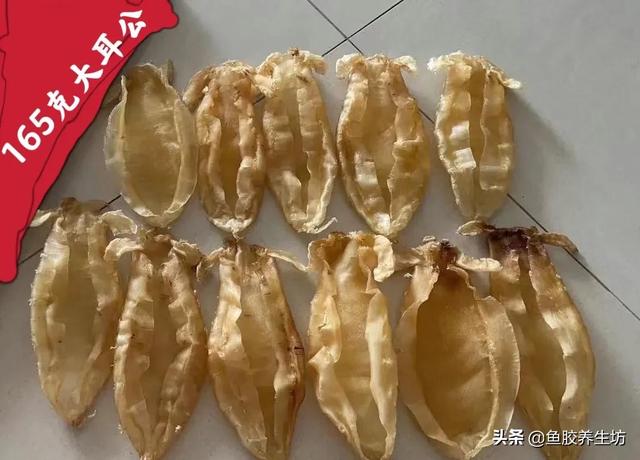 大口鳘鱼胶的功效 2026年大口鱼胶是什么 大口鳘鱼胶的功效 2026年大口鱼胶是什么