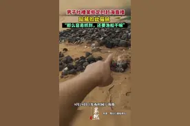 男子吐槽某些定时赶海直播，暗藏如此猫腻图片