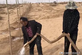 在强大的资本面前，孙国友治沙造林就是一种罪恶图片
