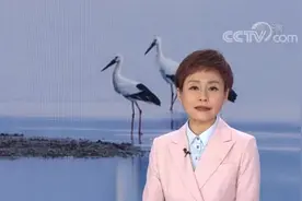 扬州高邮网红“大鸟”再次亮相央视图片