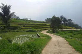 能别让农村孩子去城里读书吗？能别让农民去城里打工吗？图片